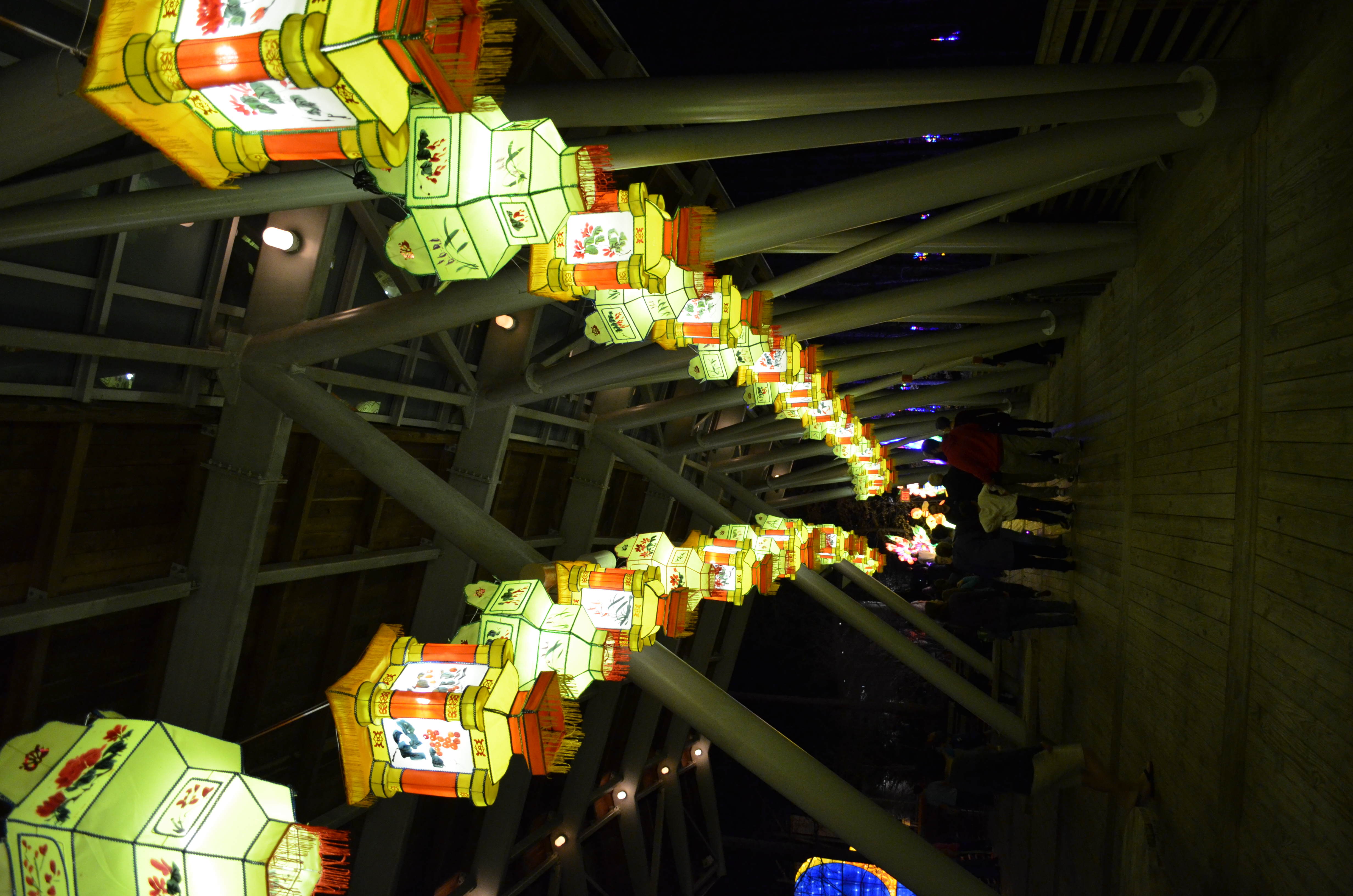 ./2015/33 - Chinese Lantern Festival/DSC_0657.JPG